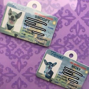 personalized dog tag ID